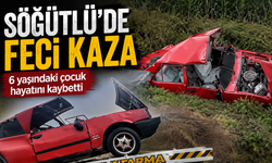 Söğütlü’de Feci Kaza