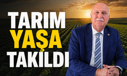 TARIM YAŞA TAKILDI