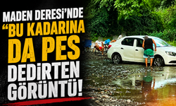 Maden Deresi'nde "Bu Kadarına da Pes" Dedirten Görüntü! Çocukların Yüzdüğü Derede Otomobilini Yıkadı
