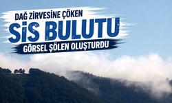 Dikmen Yaylası'nda Sis Büyüledi: Kartpostallık Manzaralar Oluştu
