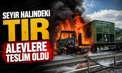 Seyir halindeki tır alevlere teslim oldu