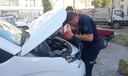 Balıkesir'de aracın motor kısmına giren kedi yavrusu kurtarıldı