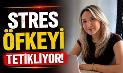 STRES ÖFKEYİ TETİKLİYOR!