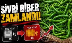 Temmuzda Fiyatı En Çok Artan Ürün Sivri Biber Oldu