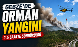 Gebze’de Orman Yangını 1,5 Saatte Söndürüldü
