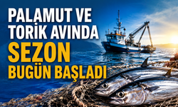 Palamut ve torik avında sezon bugün başladı