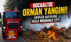 Kocaali’de orman yangını! Ekipler alevlere hızla müdahale etti
