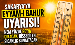 Sakarya'ya Eyyam-ı Bahur Uyarısı! Nem Yüzde 96'ya Çıkacak...