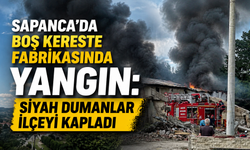 Sapanca'da Boş Kereste Fabrikasında Yangın: Siyah Dumanlar İlçeyi Kapladı