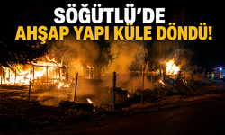 Söğütlü'de Ahşap Yapı Küle Döndü!