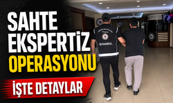 Sahte Ekspertizle Vatandaşlık Operasyonu: 72 Şüpheli Yakalandı