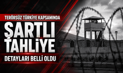 Terö*rsüz Türkiye Düzenlemesinde Şartlı Tahliye Detayları Belli Oldu