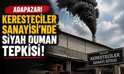 Adapazarı Keresteciler Sanayisi’nde Siyah Duman Tepkisi