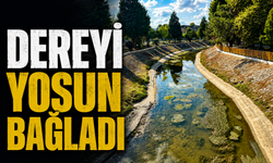 Çark Deresi’nde Yosun Sorunu: Vatandaşlar Temizlik ve Çözüm Bekliyor