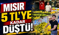 Mısır 5 TL'ye kadar düştü!