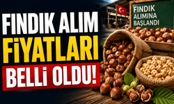 TMO 2026-2027 Sezonu Fındık Alım Fiyatlarını Açıkladı