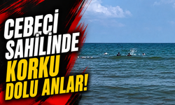 Cebeci sahilinde korku dolu anlar!