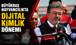 Büyükbaş Hayvancılıkta Dijital Dönem