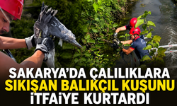 Sakarya’da çalılıklara sıkışan balıkçıl kuşunu itfaiye kurtardı