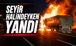 Sakarya’da TEM Otoyolu’nda Tır Yangını