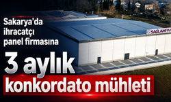 SP Sağlam Panel ve Yapıpan için 3 aylık konkordato geçici mühleti kararı