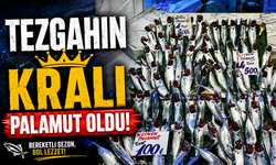 Palamut tezgahları doldurdu