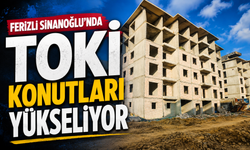 Ferizli Sinanoğlu’nda TOKİ Konutları Yükseliyor