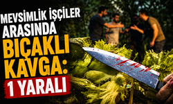 Mevsimlik İşçiler Arasında Bıçaklı Kavga: 1 Yaralı