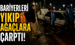 Bariyerleri Yıkıp Ağaçlara Çarptı!