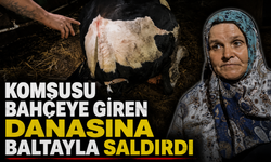 Komşusu bahçeye giren danaya baltayla saldırdı!