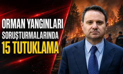 Orman Yangınları Soruşturmalarında 15 Tutuklama