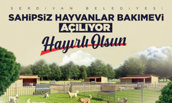 Serdivan Sahipsiz Hayvanlar Bakımevi Açılıyor! 1000 Hayvan Kapasiteli Modern Tesis Hizmete Giriyor