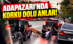 Adapazarı’nda korku dolu anlar! Zinciri kopan köpek vatandaşa saldırdı