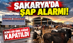 Sakarya’da şap alarmı!