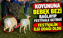 Koyununa bebek bezi bağlayıp festivale getirdi!