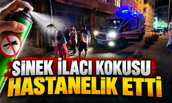 Sinek ilaçlaması sonrası korkutan olay: 76 yaşındaki kadın ve 2 sağlık çalışanı hastanelik oldu