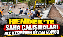 Hendek’te çalışmalar mahalle mahalle sürüyor