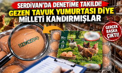 Serdivan'da yumurta skandalı! Kafes yumurtasını gezen tavuk yumurtası diye satmışlar