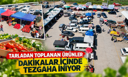 Tarladan toplanan ürünler dakikalar içinde tezgaha iniyor