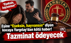 Eşine “Eşeksin, hayvansın” diyen kocaya Yargıtay'dan kötü haber! Tazminat ödeyecek