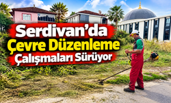 Serdivan'da çevre düzenleme seferberliği! Mahallelerde ot biçme ve temizlik çalışmaları sürüyor