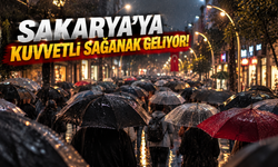 Sakarya'ya kuvvetli sağanak geliyor! Meteoroloji saat verdi, sıcaklıklar düşecek