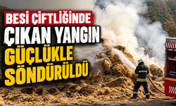 Besi çiftliğinde çıkan yangın güçlükle söndürüldü