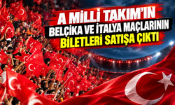 A Milli Takım’ın Belçika ve İtalya maçlarının biletleri satışa çıktı