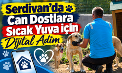 Serdivan’da Can Dostlara Sıcak Yuva İçin Dijital Adım