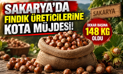 Sakarya'da fındık üreticilerine kota müjdesi!