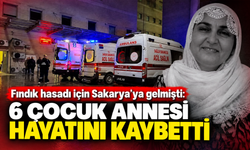 Fındık hasadı için Sakarya’ya gelmişti: 6 çocuk annesi hayatını kaybetti