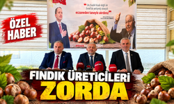 Fındık üreticileri zorda