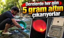 Derelerde her gün gram gram altın çıkarıyor! Askerliği bıraktı, mesleği altın aramak oldu