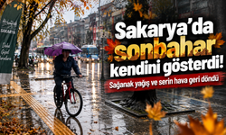 Sakarya’da sonbahar kendini gösterdi! Sağanak yağış ve serin hava geri döndü